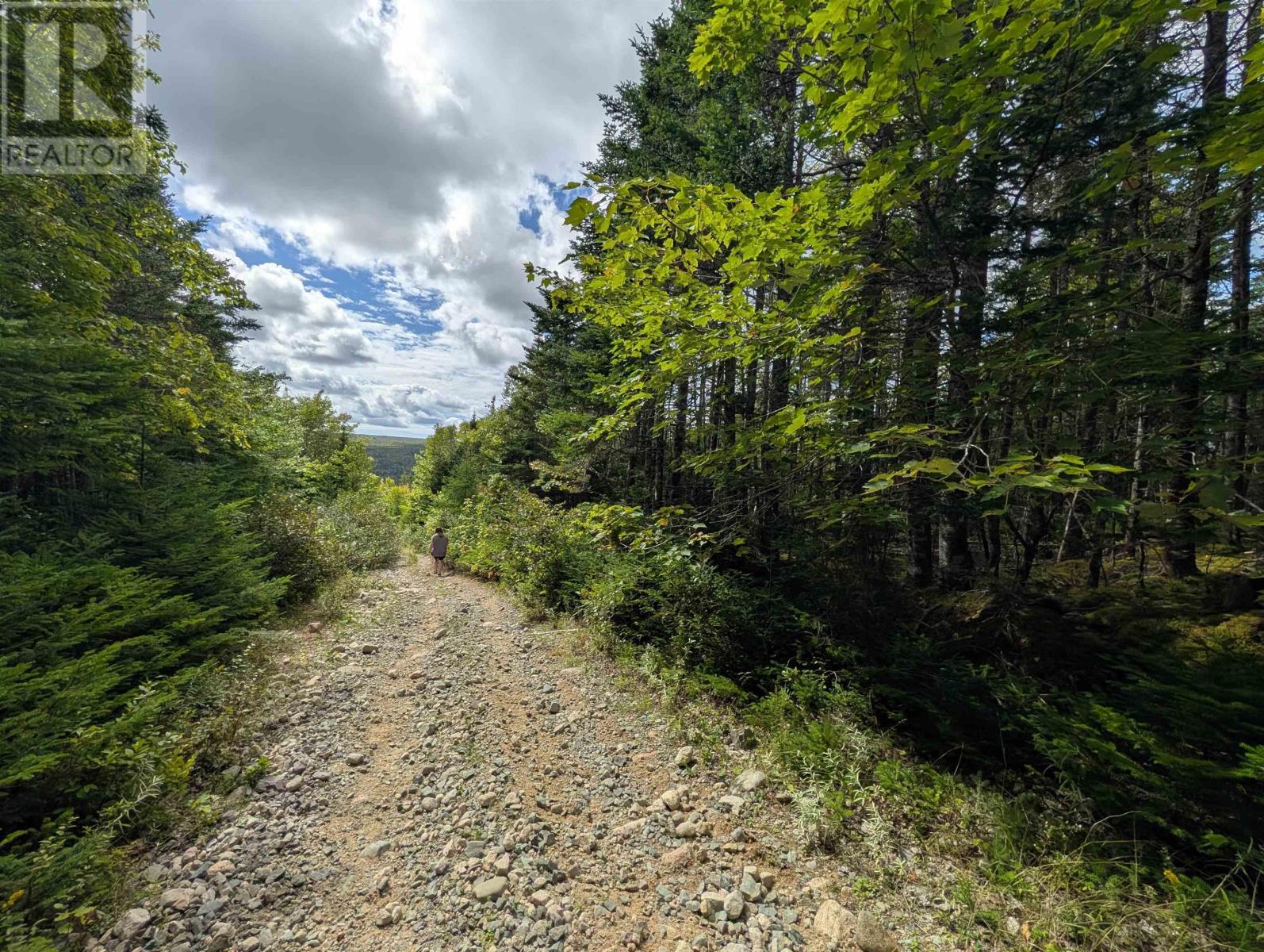 Property 12 of 41 of Lot 1 Highway 316