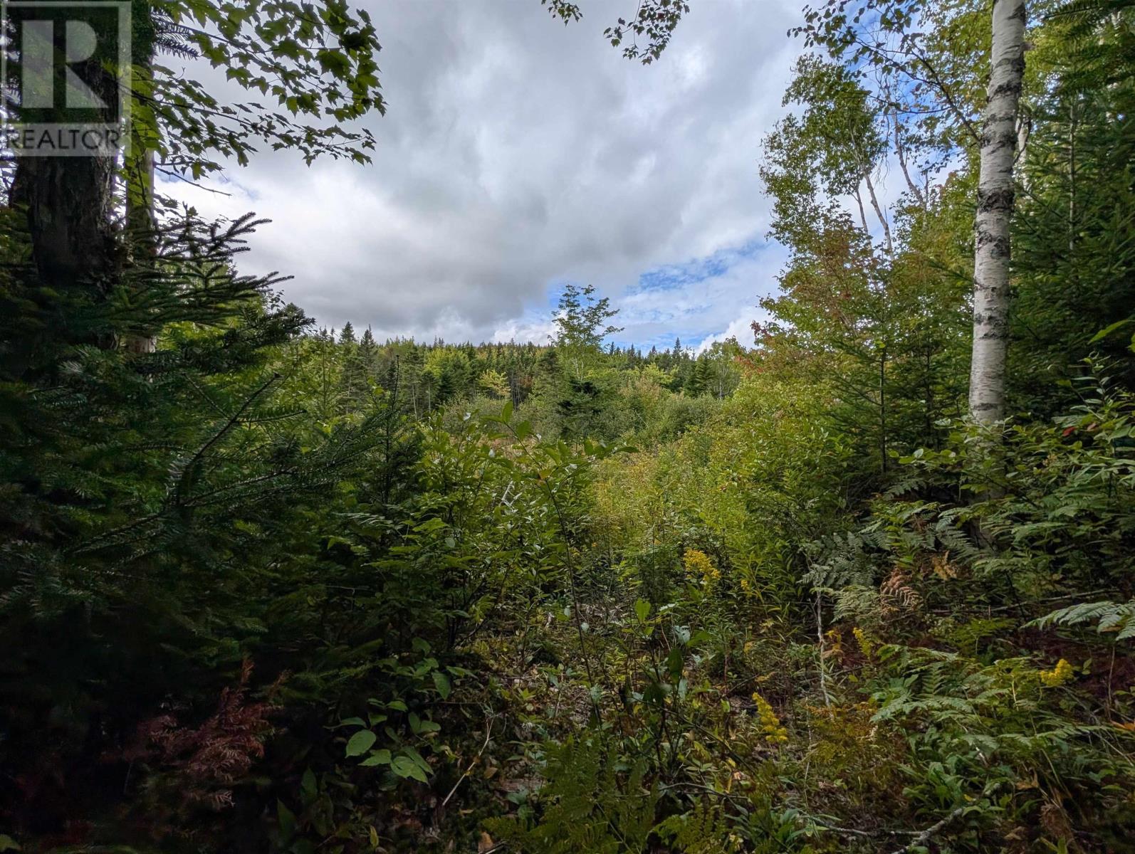 Property 28 of 41 of Lot 1 Highway 316