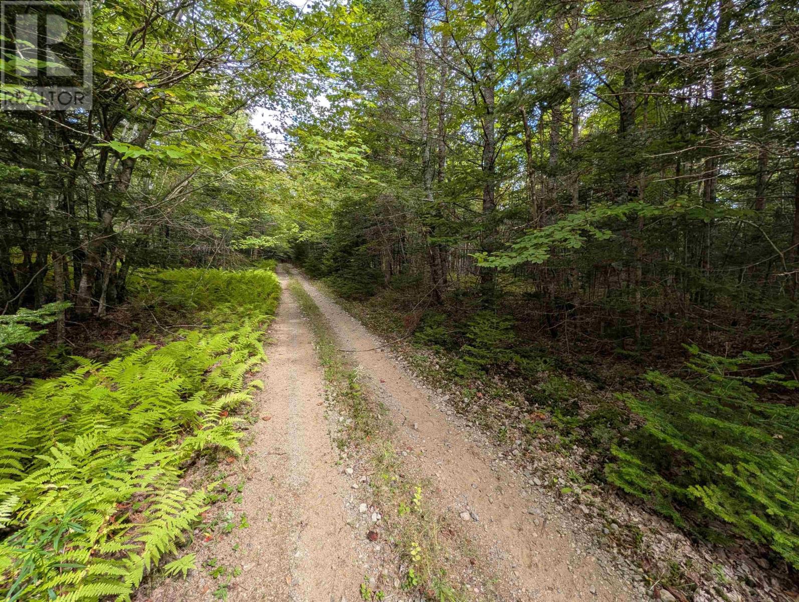 Property 5 of 41 of Lot 1 Highway 316