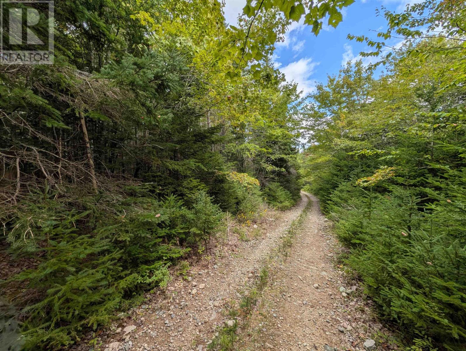 Property 8 of 41 of Lot 1 Highway 316