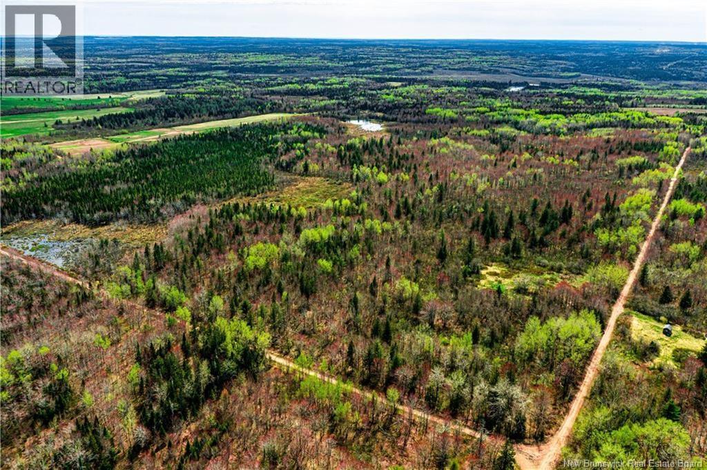 Lot Saint Damien - Photo 3 of 6, Saint-Damien, New Brunswick
