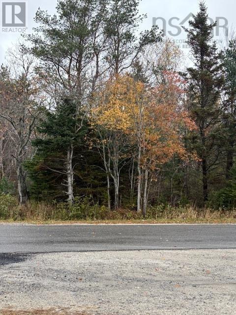 Property 2 of 2 of Lot 85 King Street