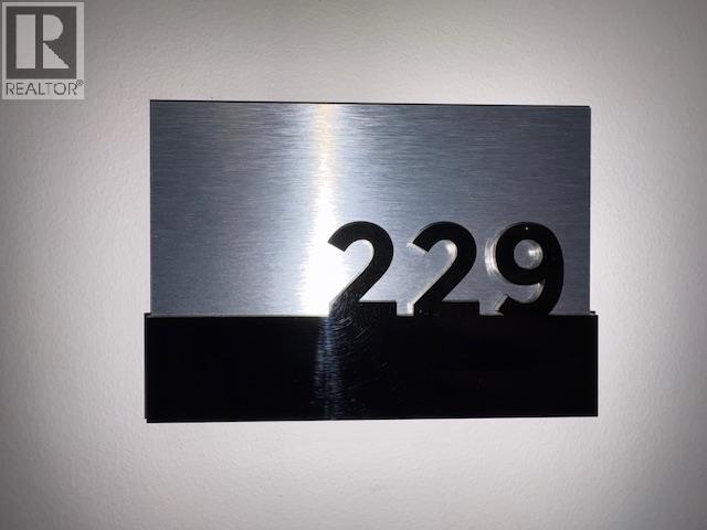 229 12109 223 STREET, Maple Ridge