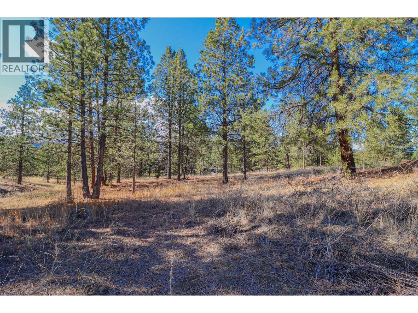 208 CORRAL Boulevard - 6