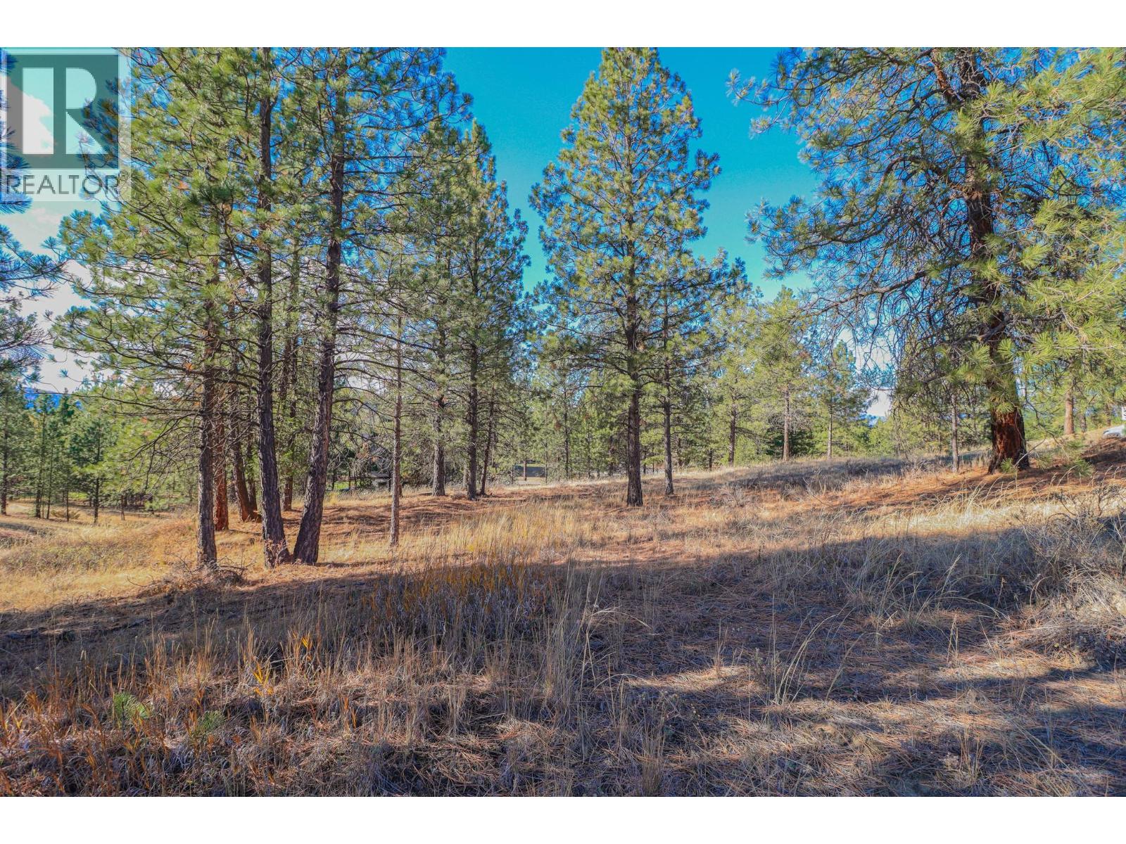 208 CORRAL Boulevard - 7