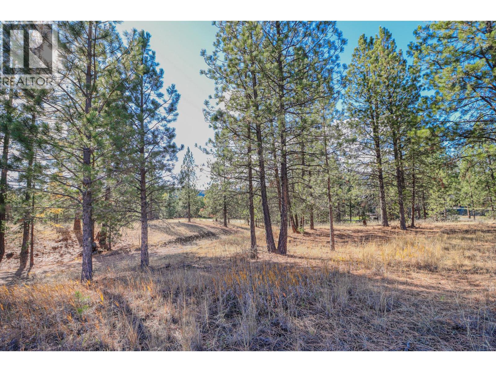 208 CORRAL Boulevard - 8