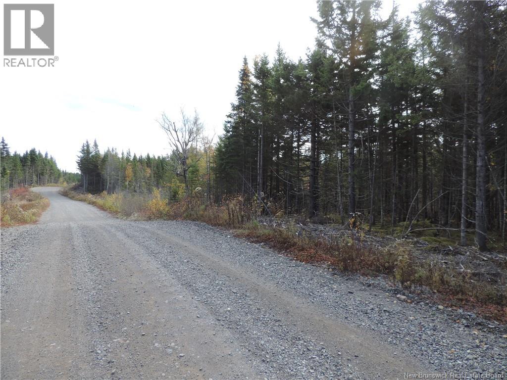 Old Gardner Creek Road, Rowley — photo 2