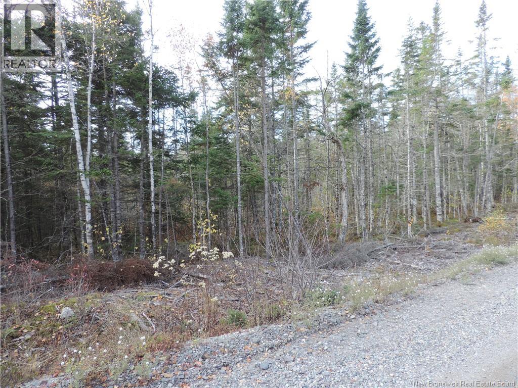 Old Gardner Creek Road, Rowley — photo 3