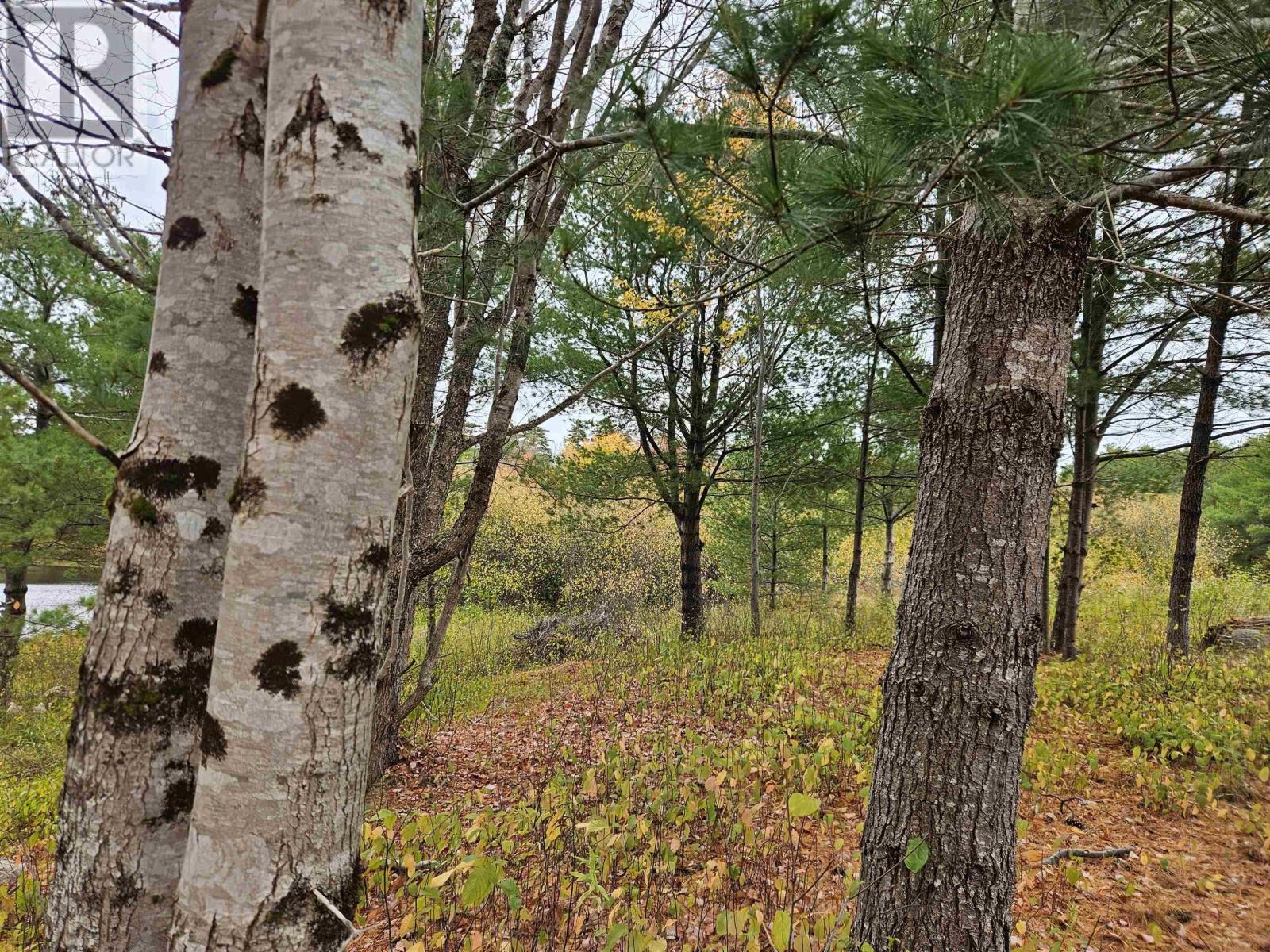 Property 3 of 10 of Lot (PID 70266457) Highway 8