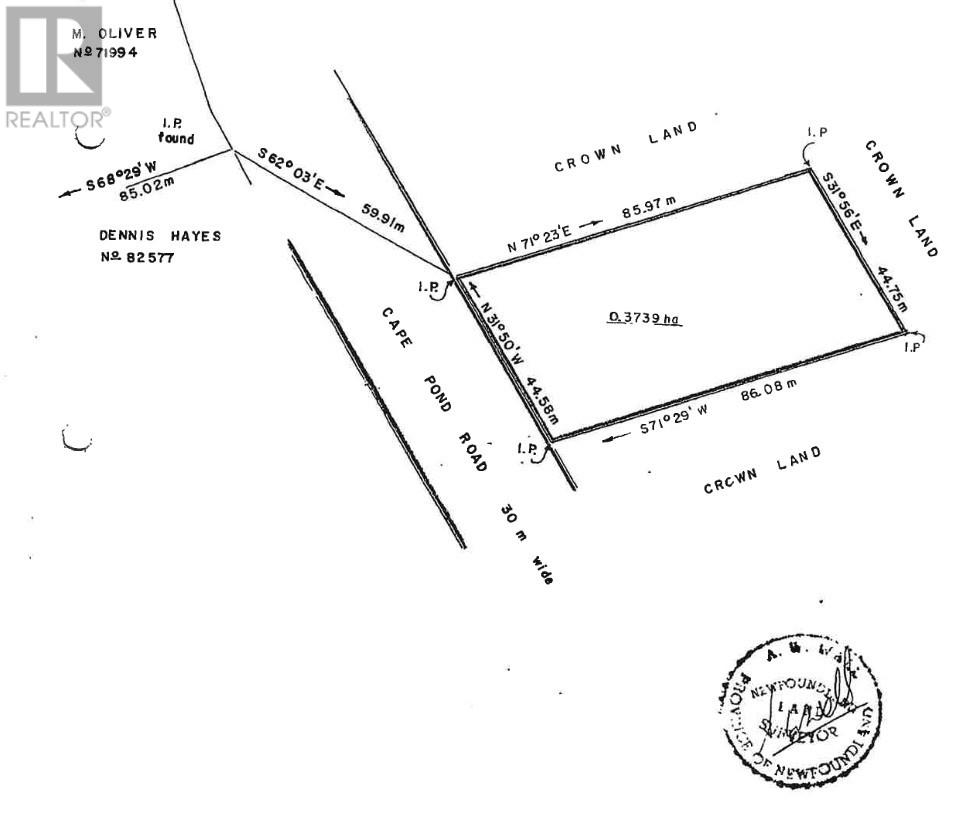 X Cape Pond Road - Photo 4 of 7, Tors Cove, Newfoundland & Labrador