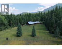 Family room - 152 Talbot Road, Nelway, BC V0G1Z0 Photo 7