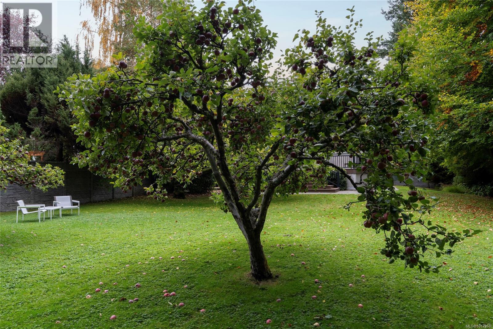 1690 Ash Rd, Saanich