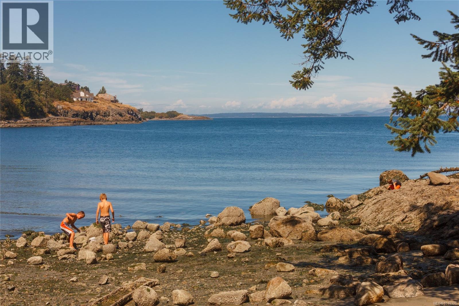 2211 GRADUATION PL - 52