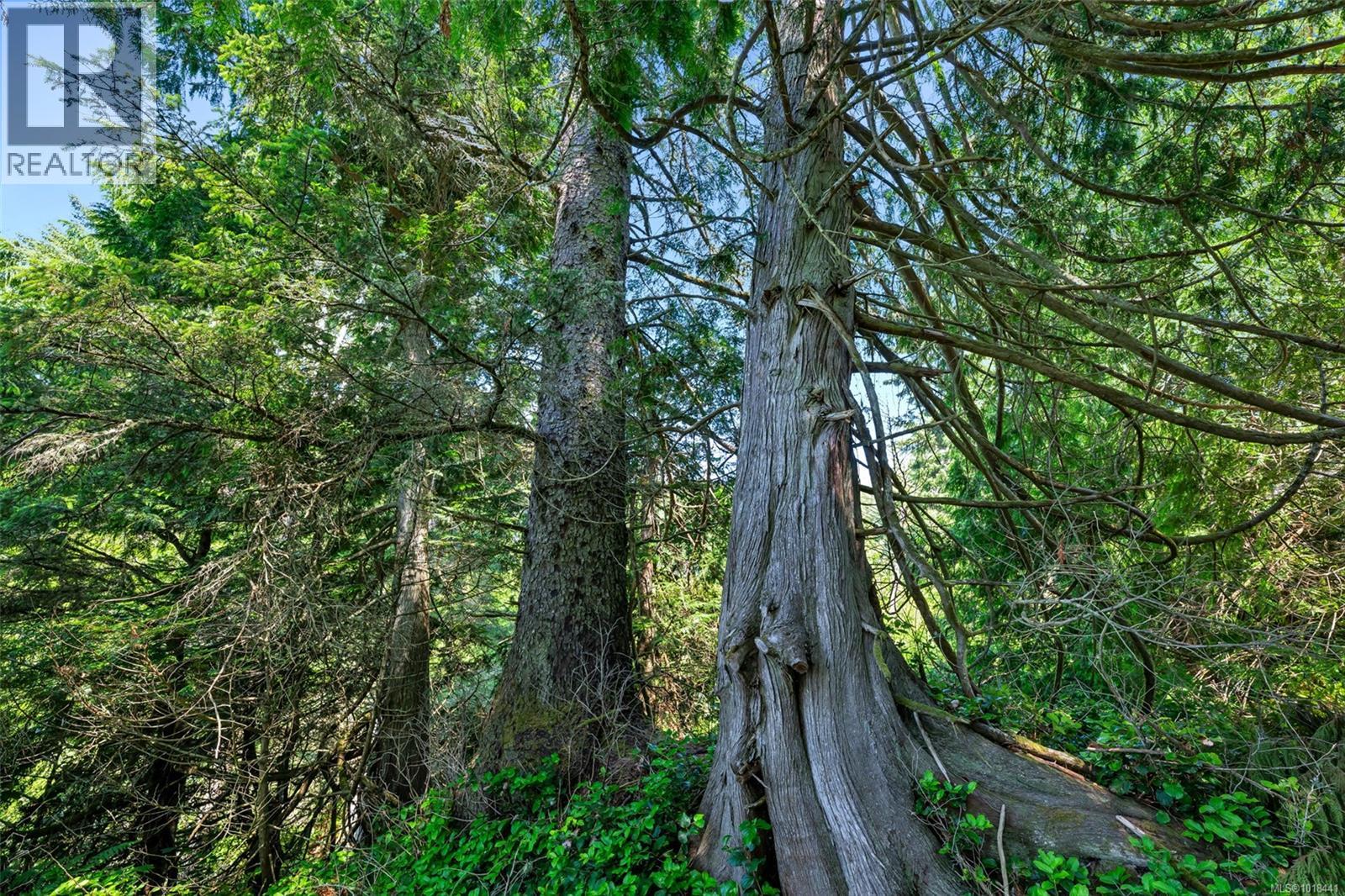 Lot 1 West Coast Road, Sooke