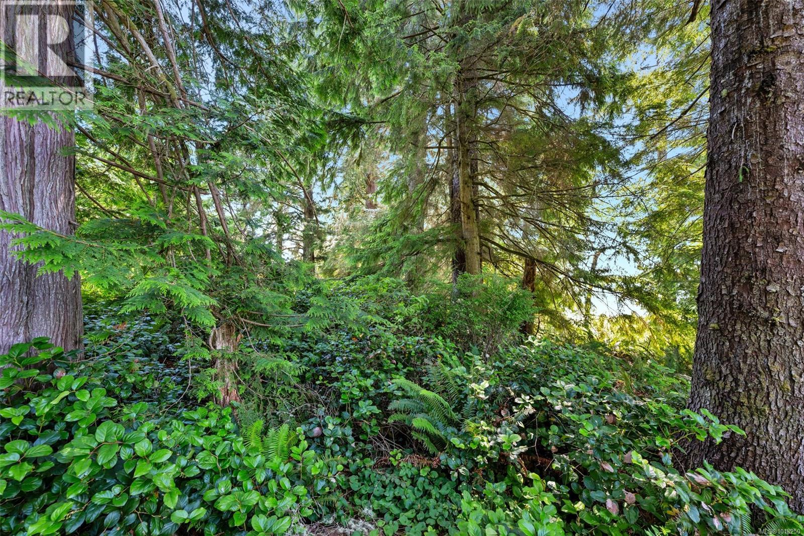 Lot 1 West Coast Road, Sooke