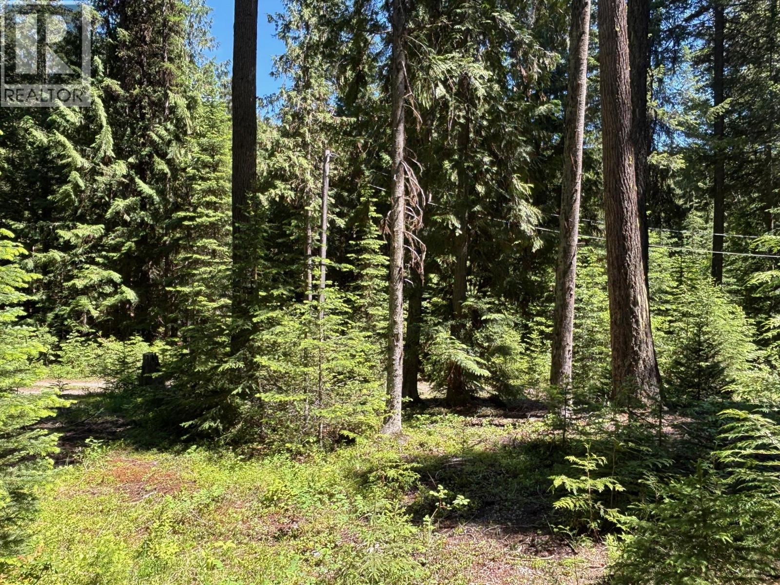 2832 Jewel Lake Road, Greenwood