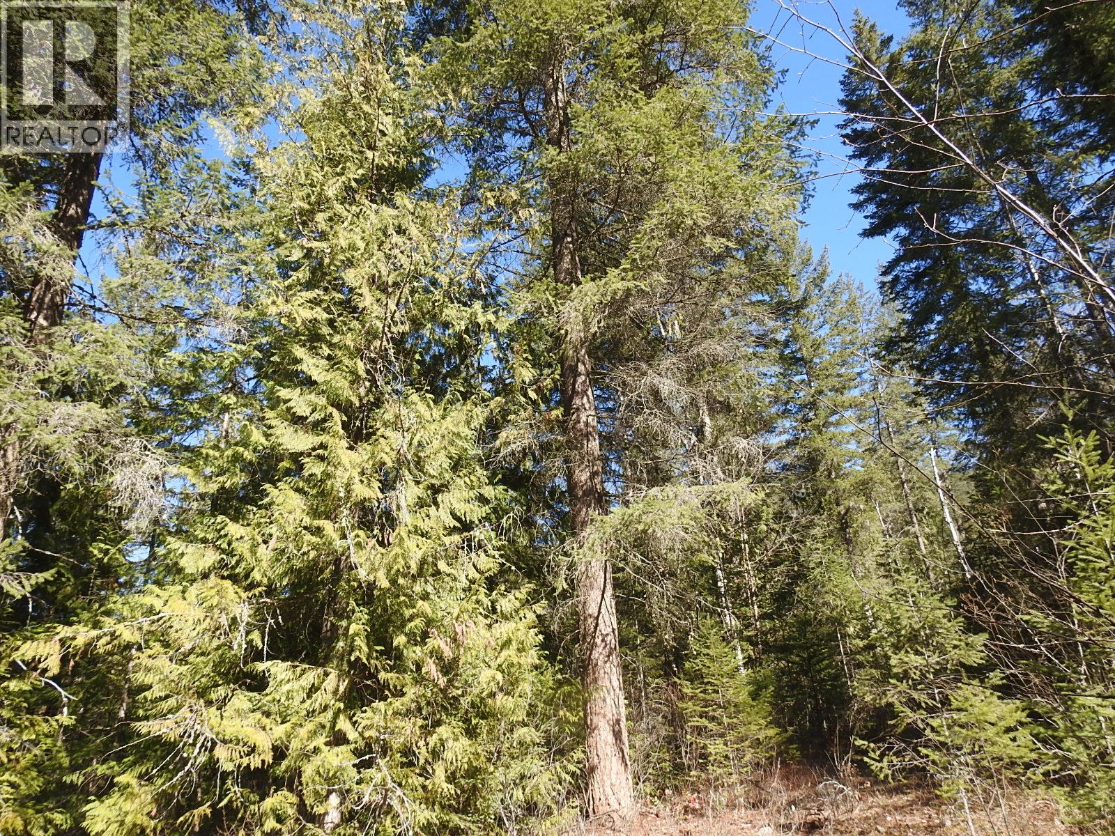 50 East Poirier Road, Mara