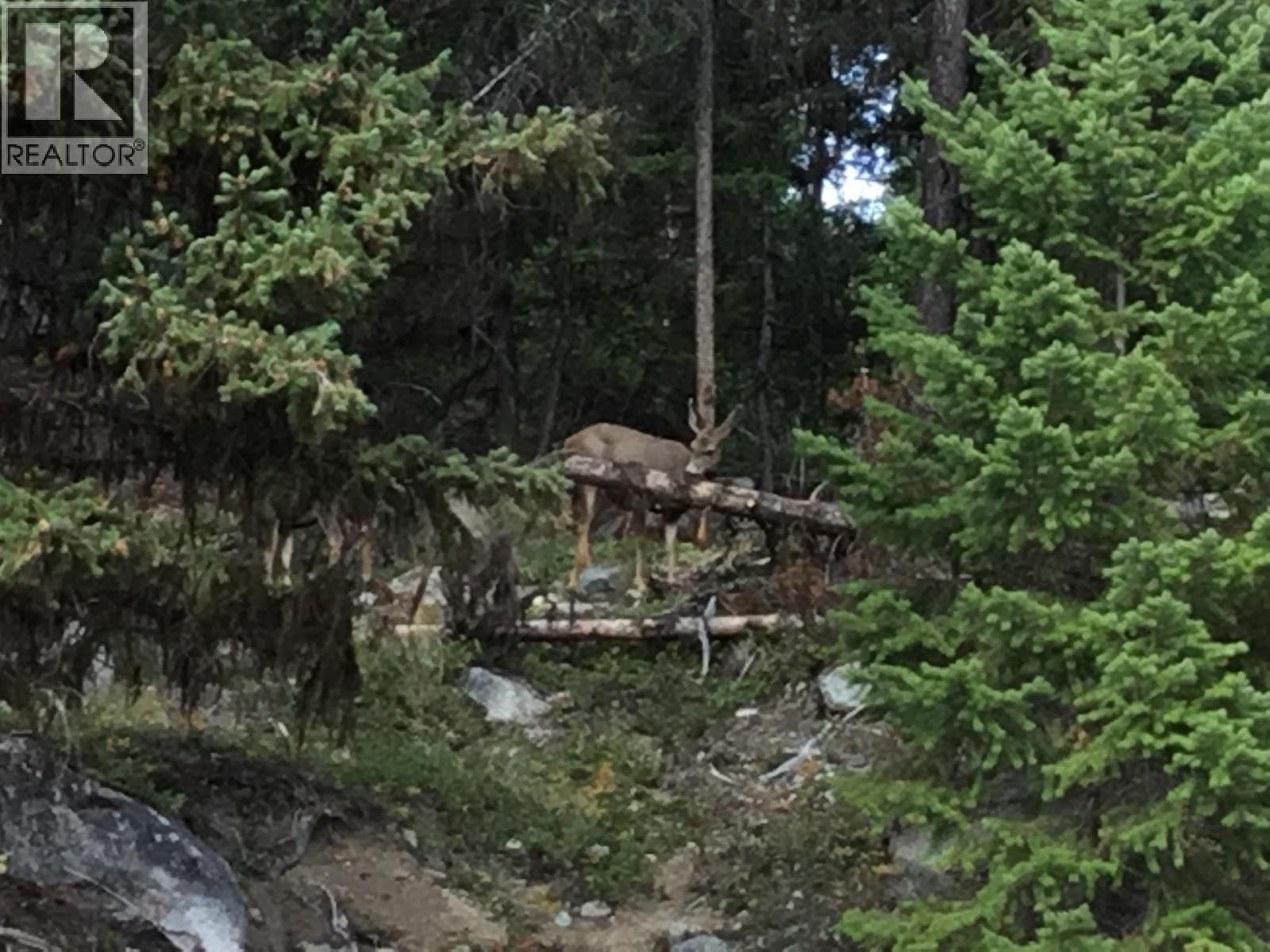 4288 Princeton Summerland Road, Princeton