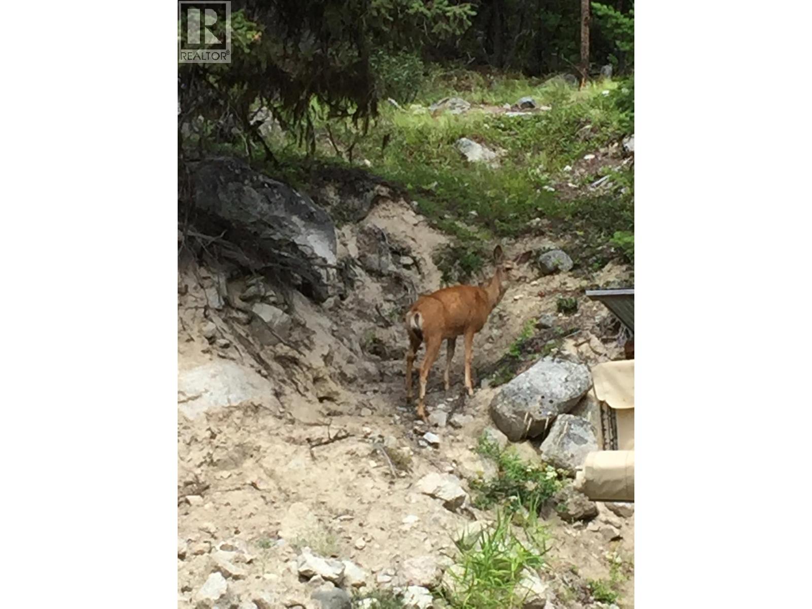 4288 Princeton Summerland Road, Princeton