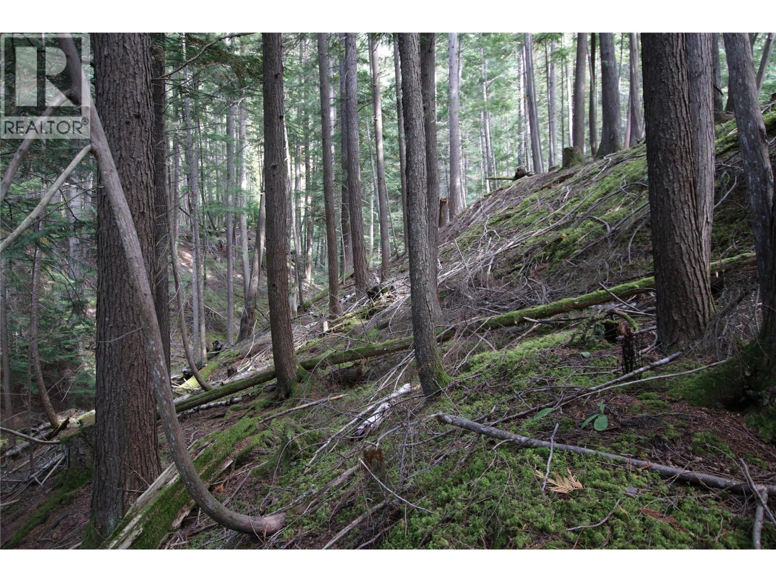 LOT 23 HIGHWAY 6 - 8