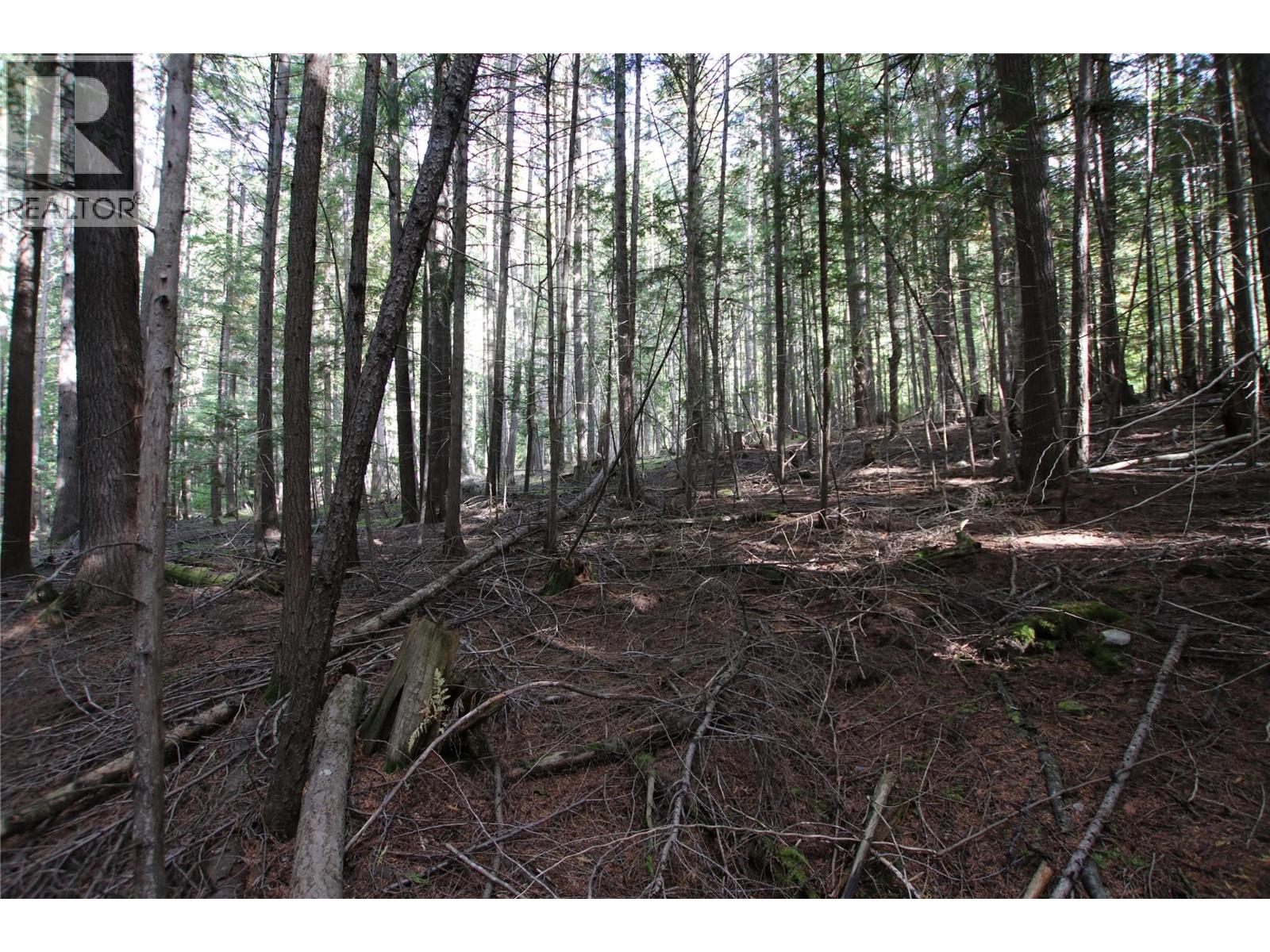 LOT 23 HIGHWAY 6 - 20