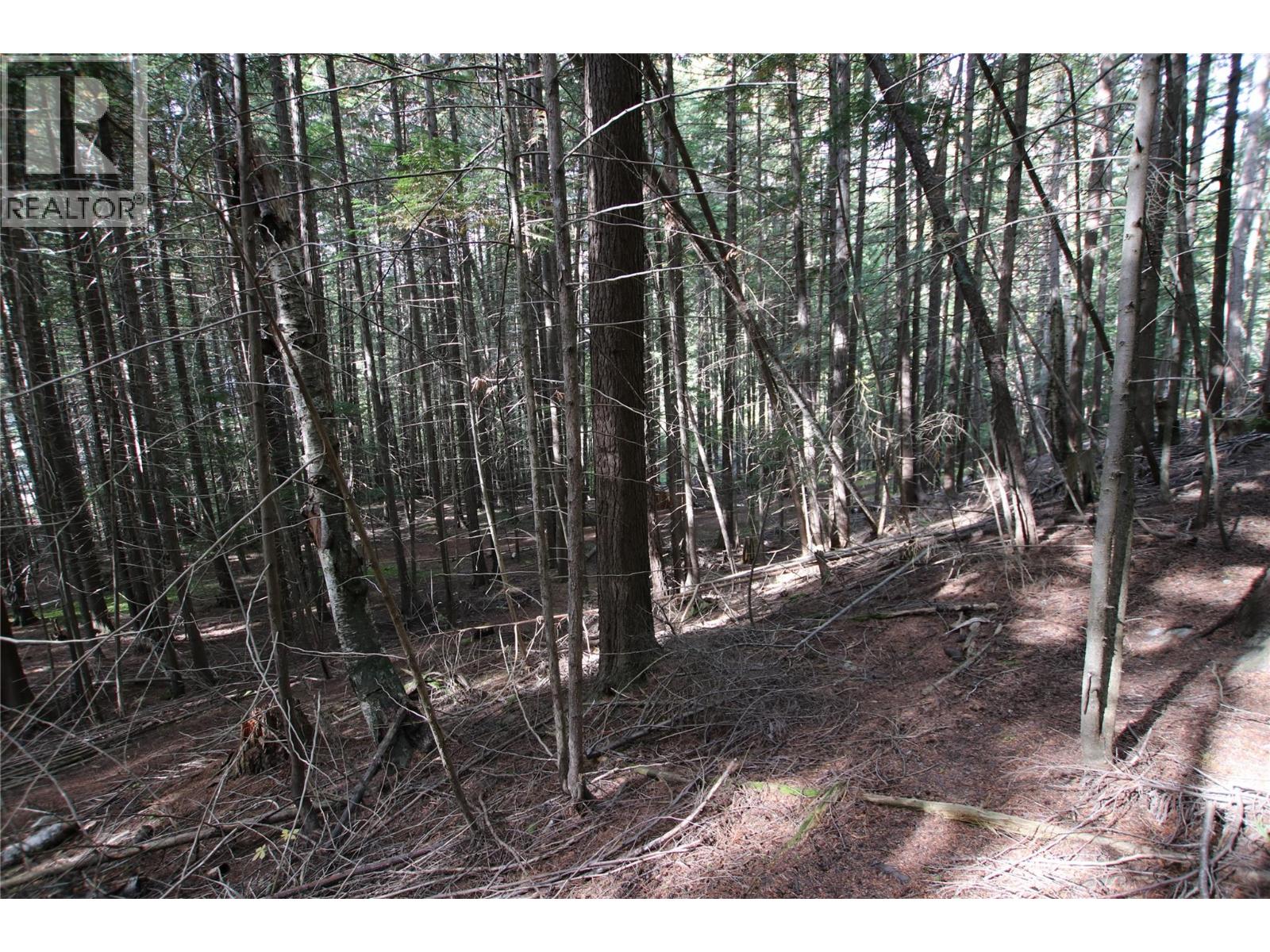 LOT 23 HIGHWAY 6 - 21