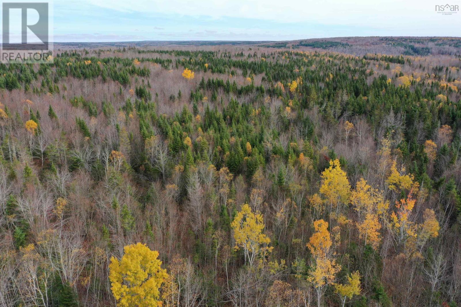 Property 3 of 6 of Lot 105 Acres+ MacMillan Road