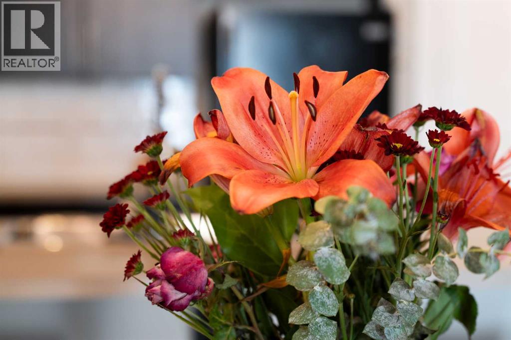 Single Family House for Sale in   Evanston Square NW Evanston Calgary 