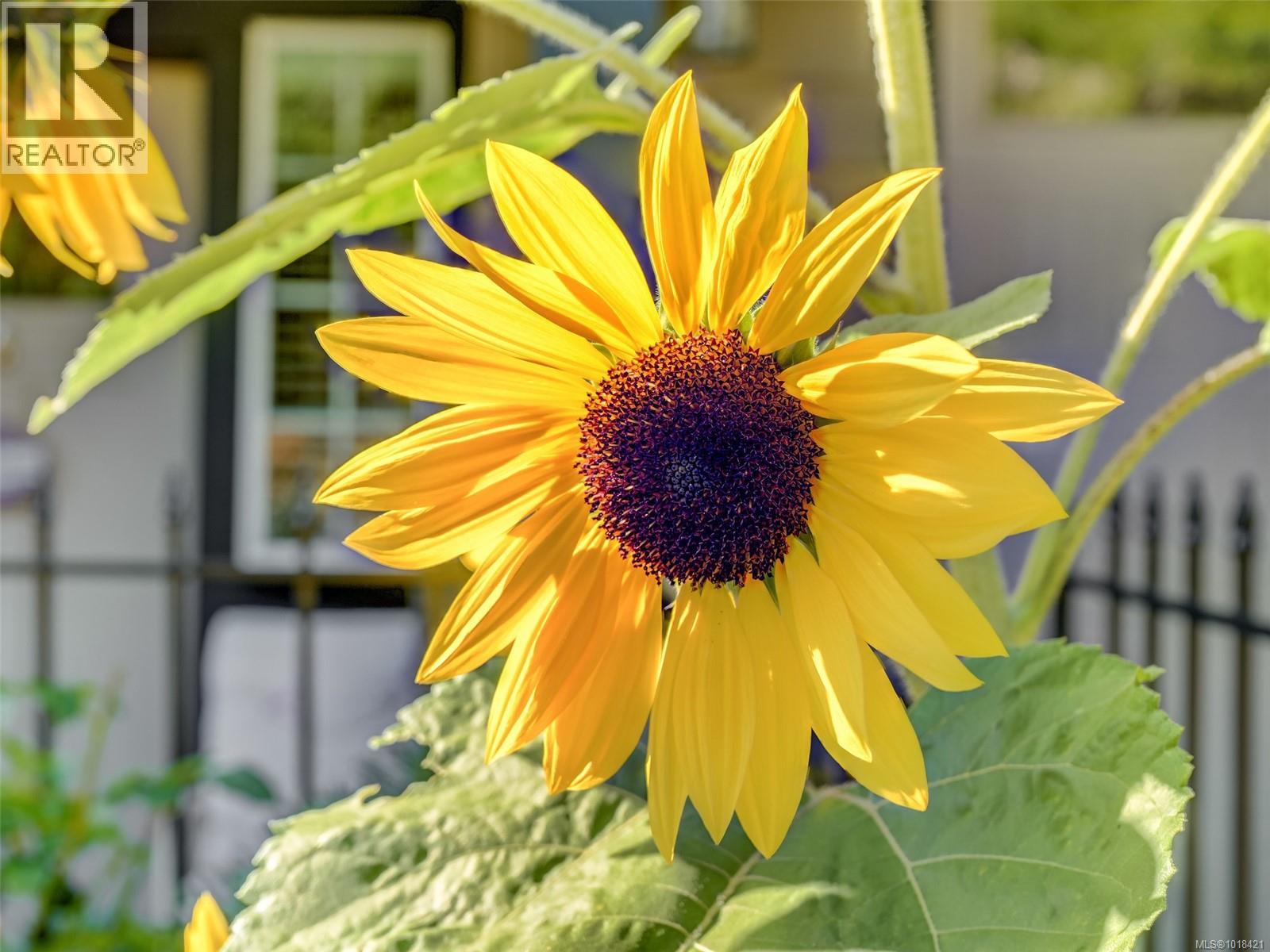  3506 Happy Valley Road, Langford