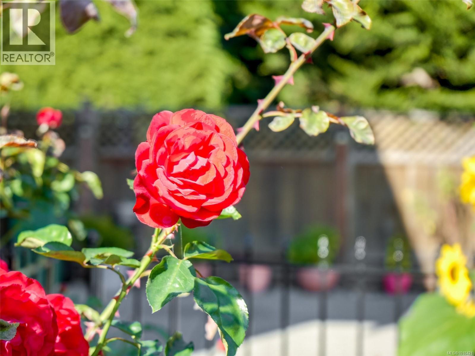  3506 Happy Valley Road, Langford