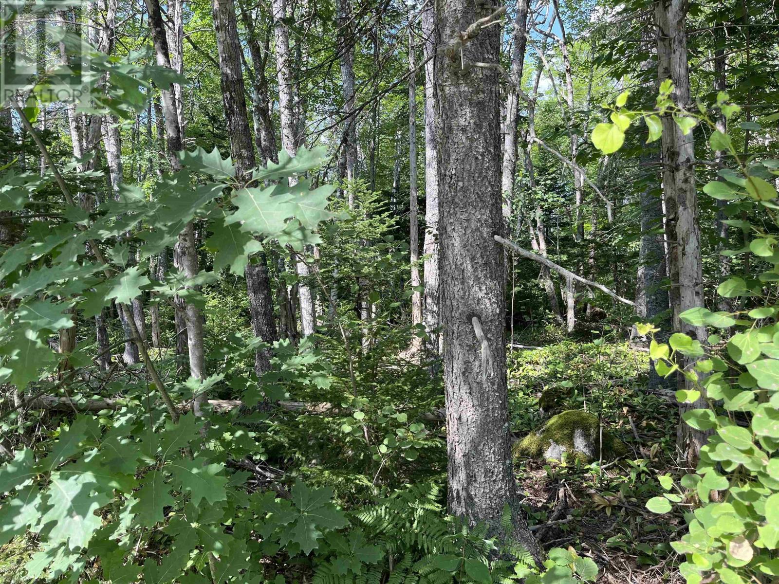 Property 2 of 3 of 7 Lot 7 Butler Road Road