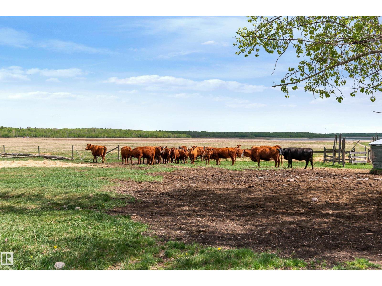 50143 RGE RD 221, Rural Leduc County