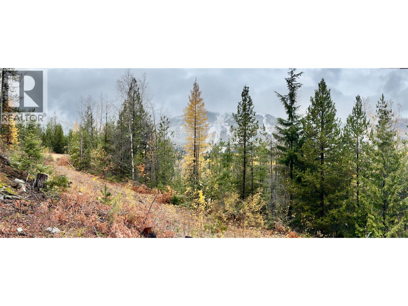 Lot C RICHIE Road, Rossland