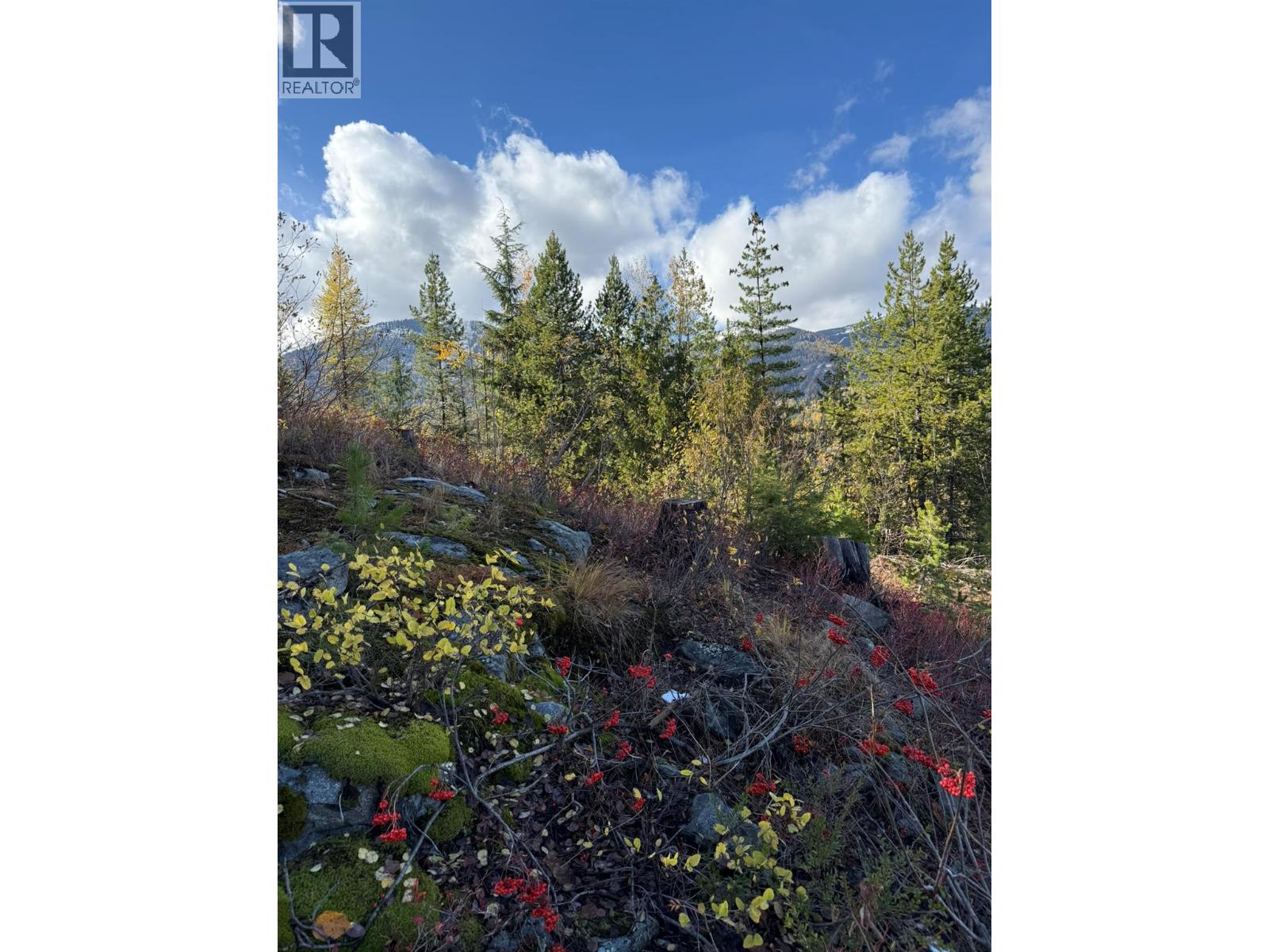 Lot C RICHIE Road, Rossland