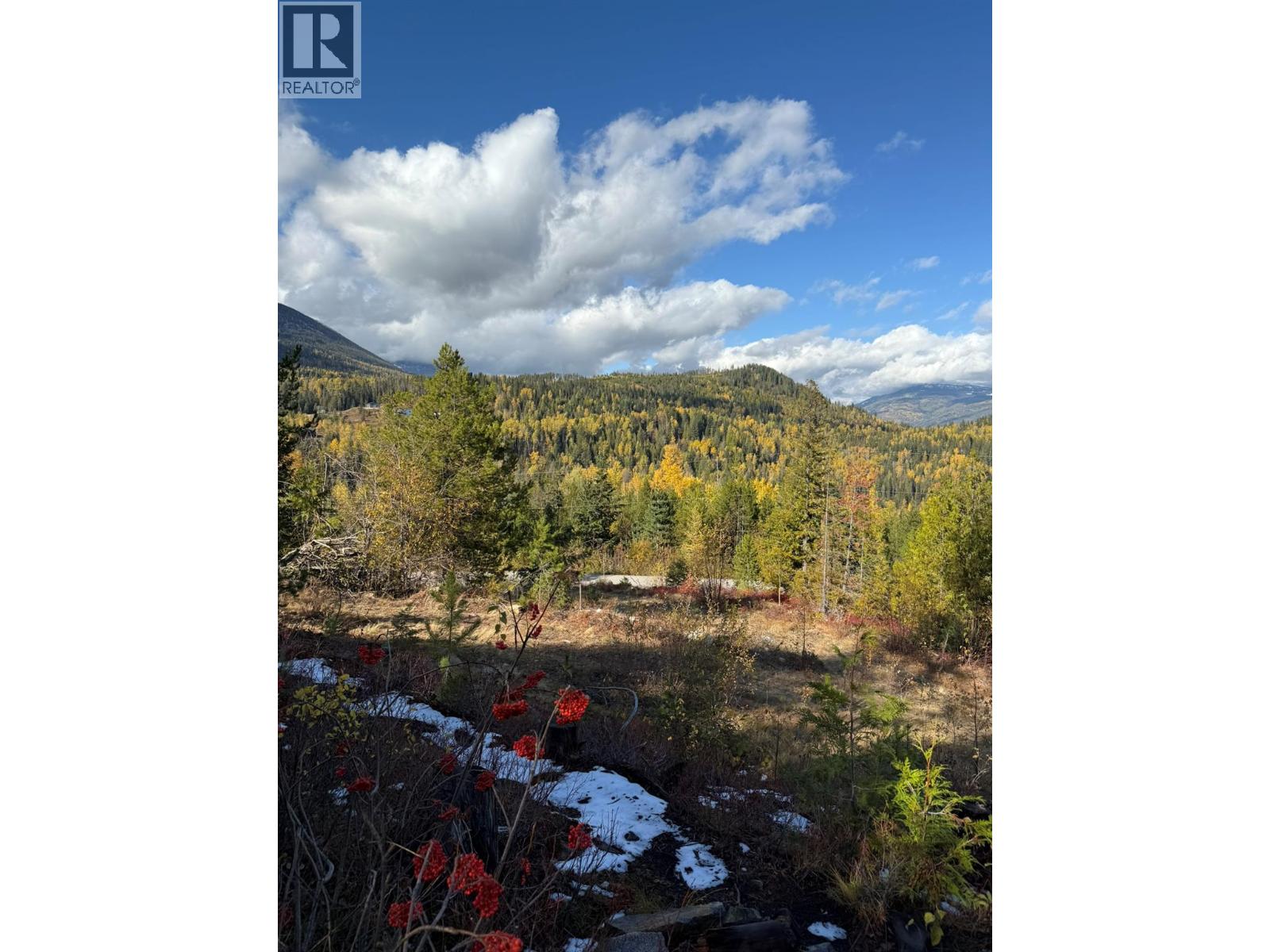 Lot C RICHIE Road, Rossland