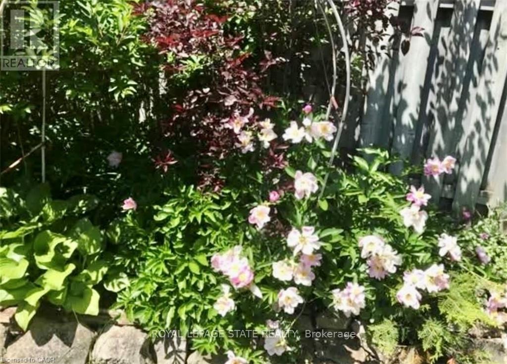 Single Family House for Sale in  SYLVIA CRESCENT Hamilton (Rosedale) 