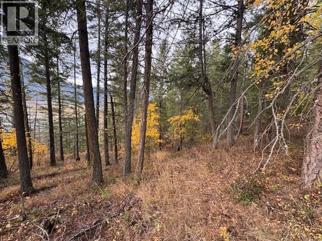  490 Sumac Road, Tappen