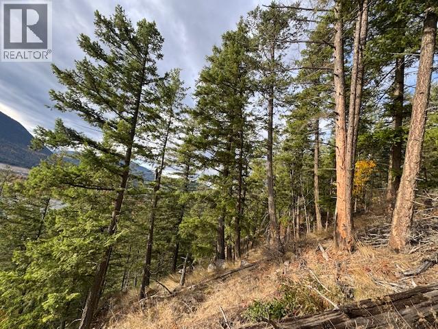  490 Sumac Road, Tappen