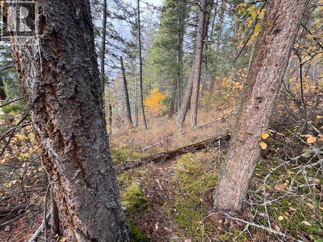  490 Sumac Road, Tappen