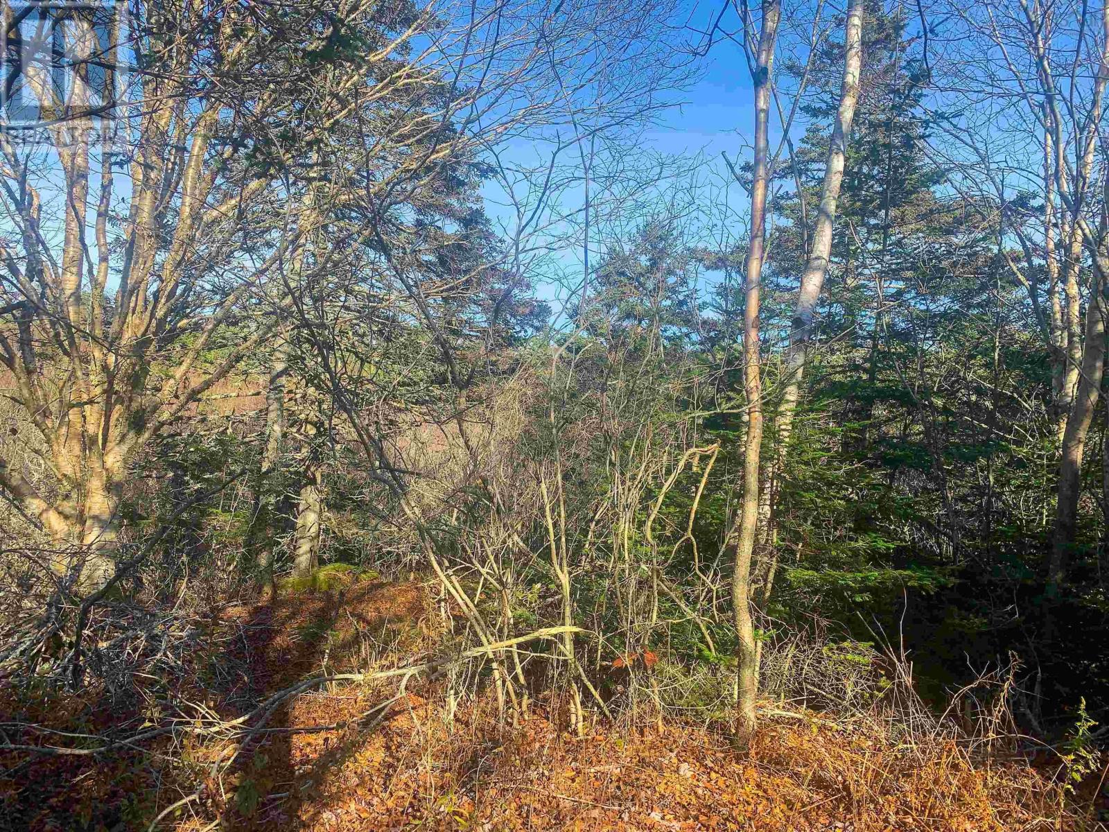 Property 4 of 12 of Lot C. Boudreau Road