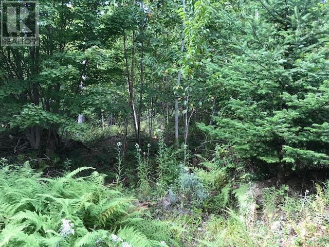 Property 4 of 13 of Lot 2 Lake Fanning Road