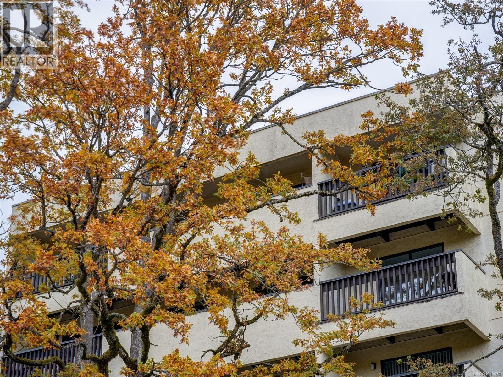 413 3277 Glasgow Avenue, Saanich