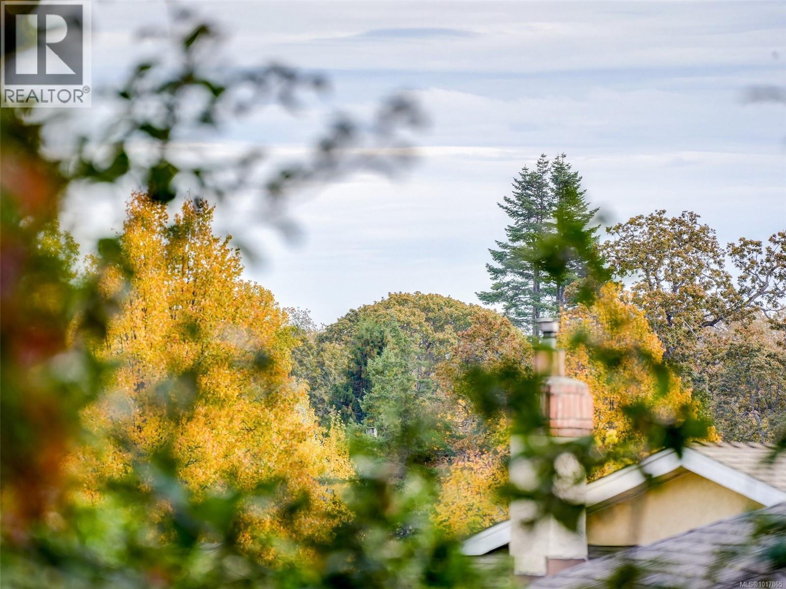  809 Beckwith Avenue, Saanich