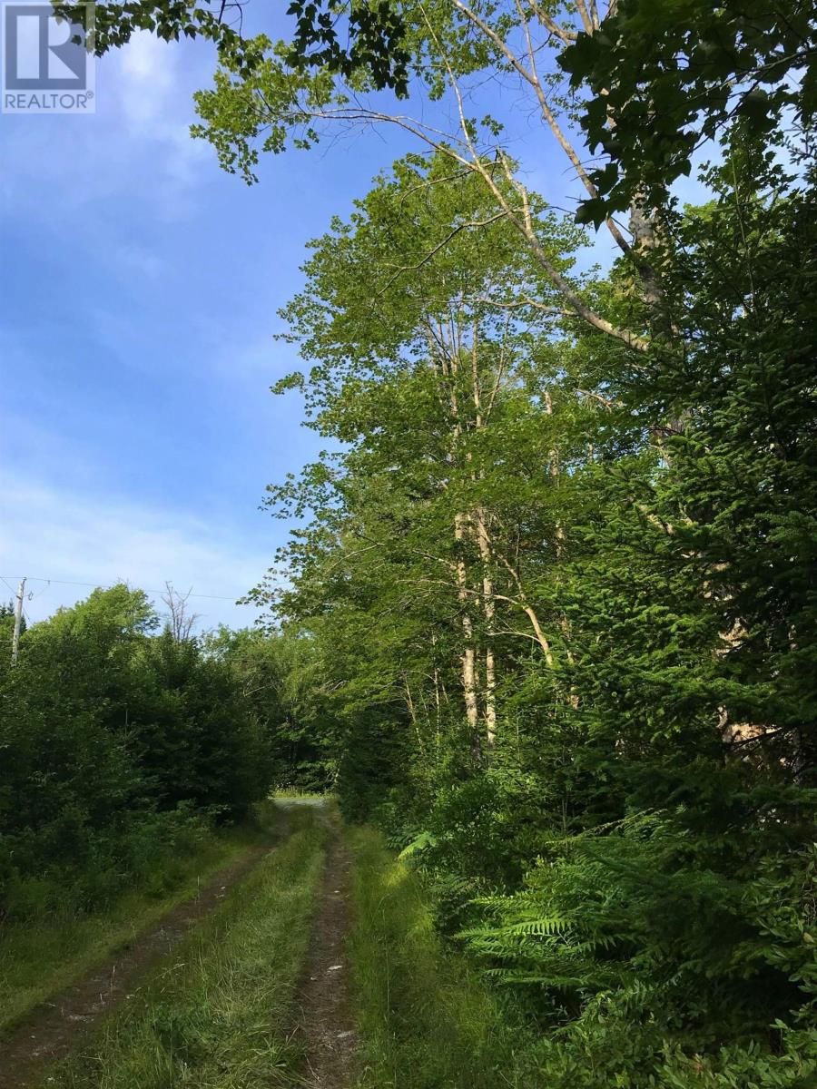 Property 7 of 8 of Lot East Sable Road