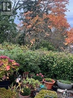  943 Selkirk Avenue, Esquimalt