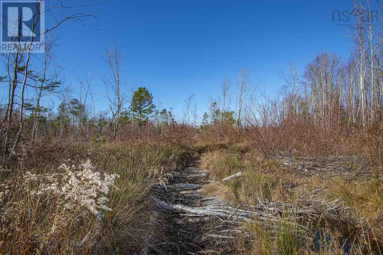 Property 19 of 23 of Sissiboo Road