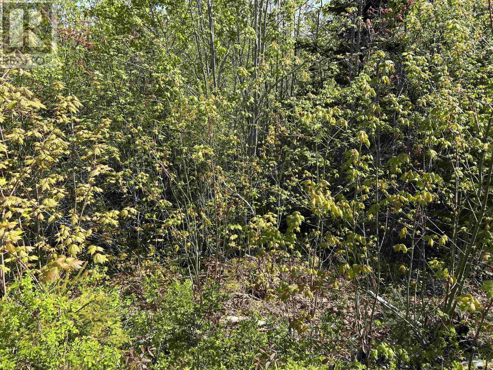 Property 2 of 15 of Lot 2A Highway 329