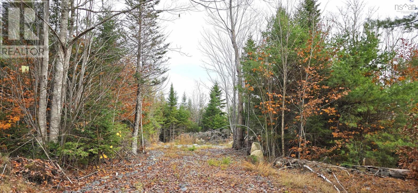 Vacant Land for Sale in Lot  Russells Cove Road Parkdale 