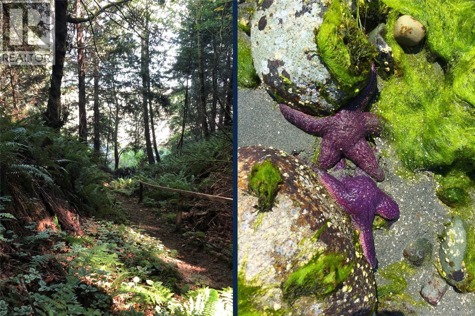 235 Spearfish Rd, Qualicum Beach