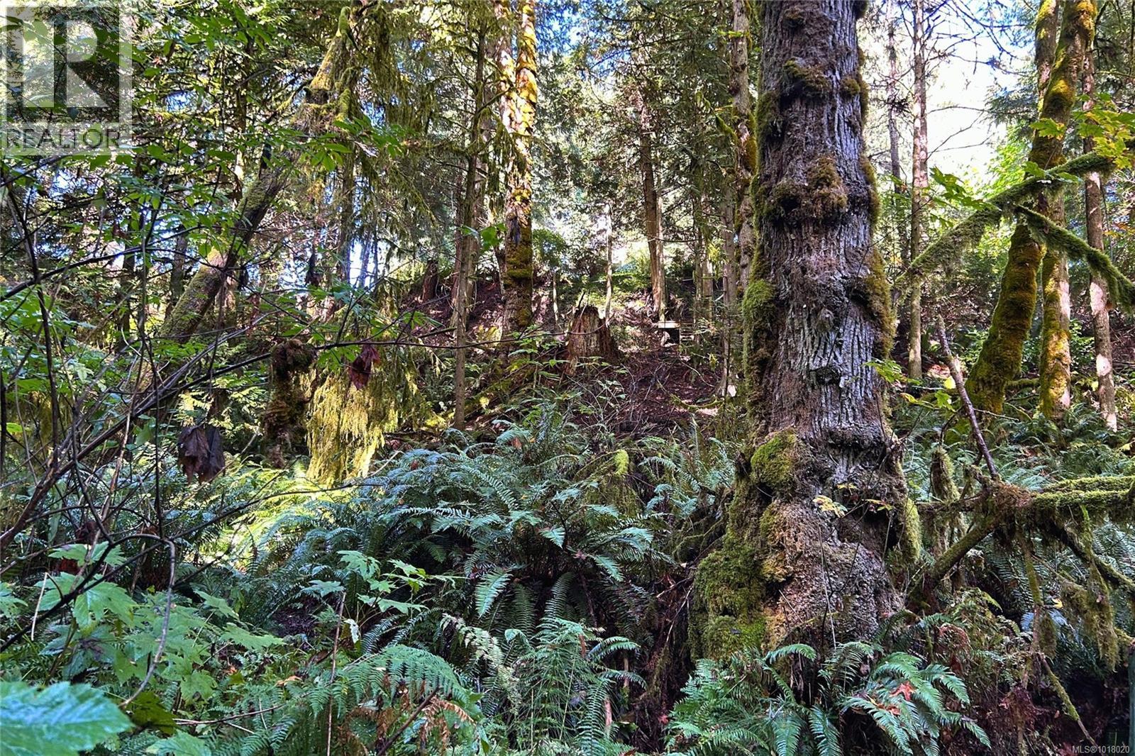 235 Spearfish Rd, Qualicum Beach